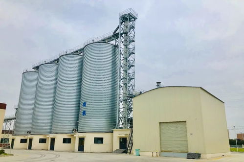 西麦食品集团宿迁生产基地竣工投产，携手济南建筑设计院共绘健康产业新蓝图